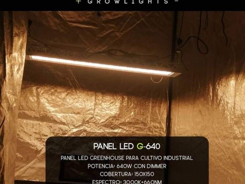 Panel LED Growlights Uruguay - LED Growlights | Construex
