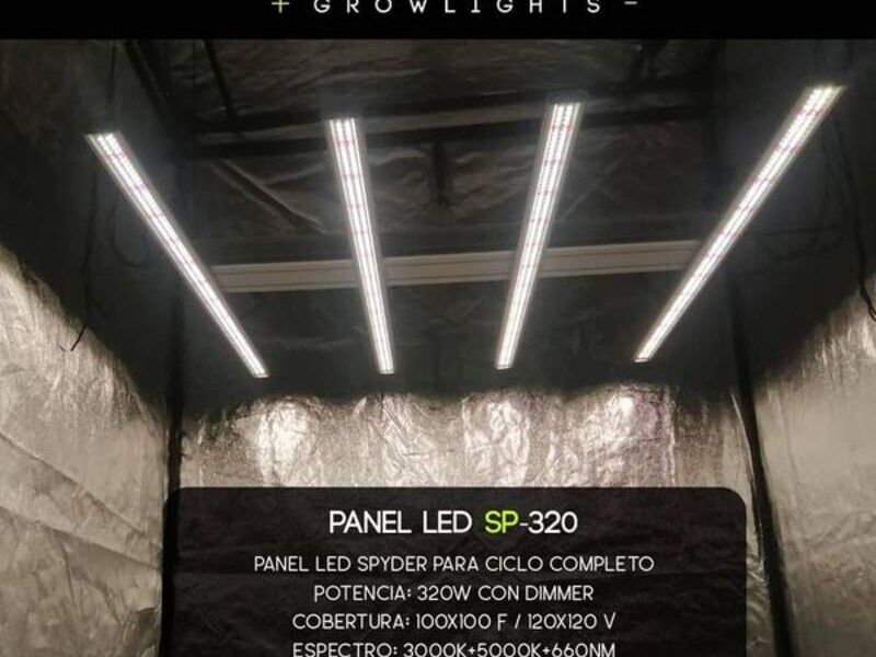 Led spyder LED Growlights Uruguay - LED Growlights | Construex