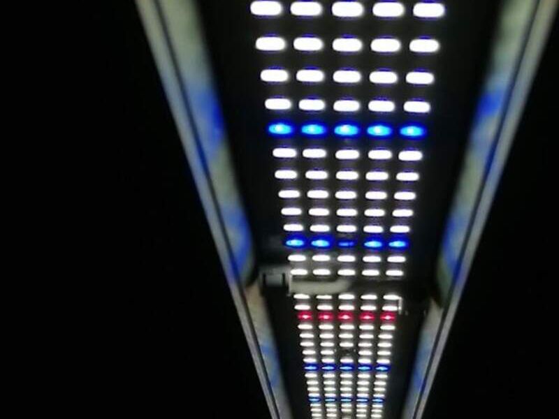 Barra led LED Growlights Uruguay - LED Growlights | Construex