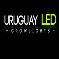 LED Growlights | Construex