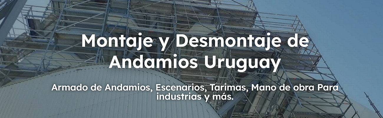 Tipos de Andamios y Características - Tubos París