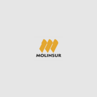 Molinsur | Construex