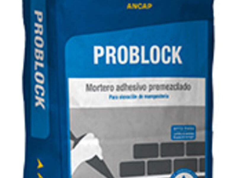 Masilla Problock Uruguay - Ancap | Construex